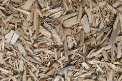 biomass boilers Carloggas